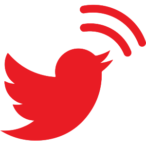 Technical SEO Strategies